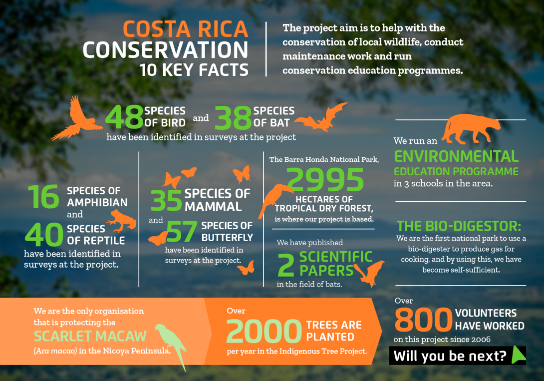 The impact you will make on the conservation volunteer project in Costa Rica with projects abroad Interesting facts about conservation volunteering in Costa Rica with projects abroad